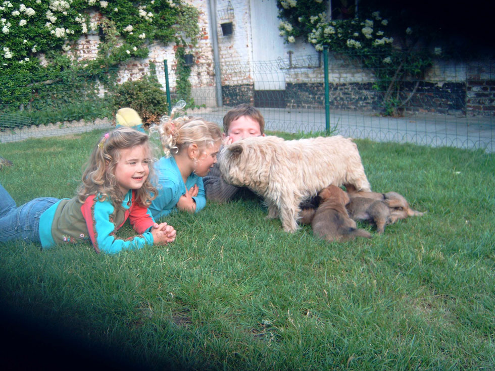 Trimkelderke-Smoothdog-Chanel-5